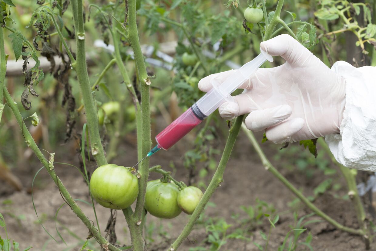 Ethephon en la regulación del crecimiento de las plantas